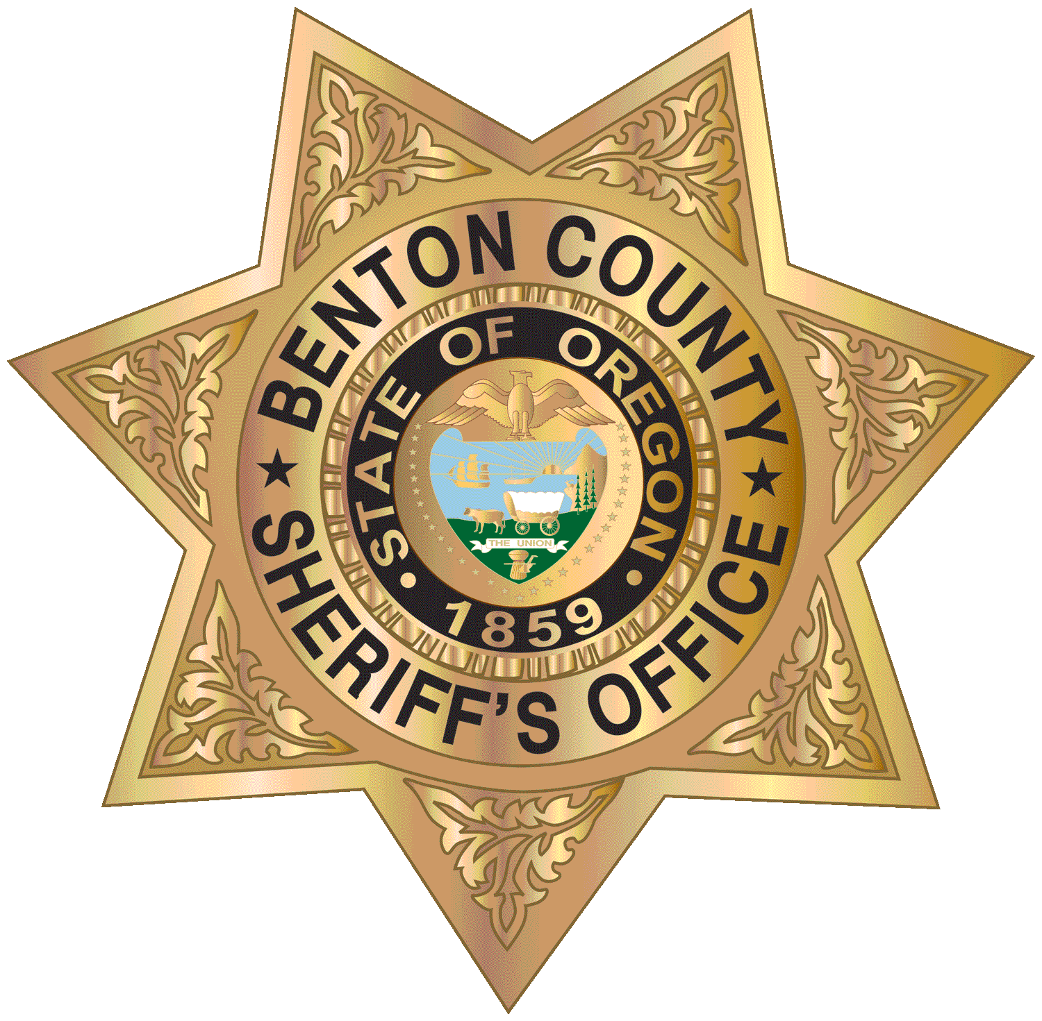 ElectionsFilingSheriff Benton County Records and Elections, Oregon(01)