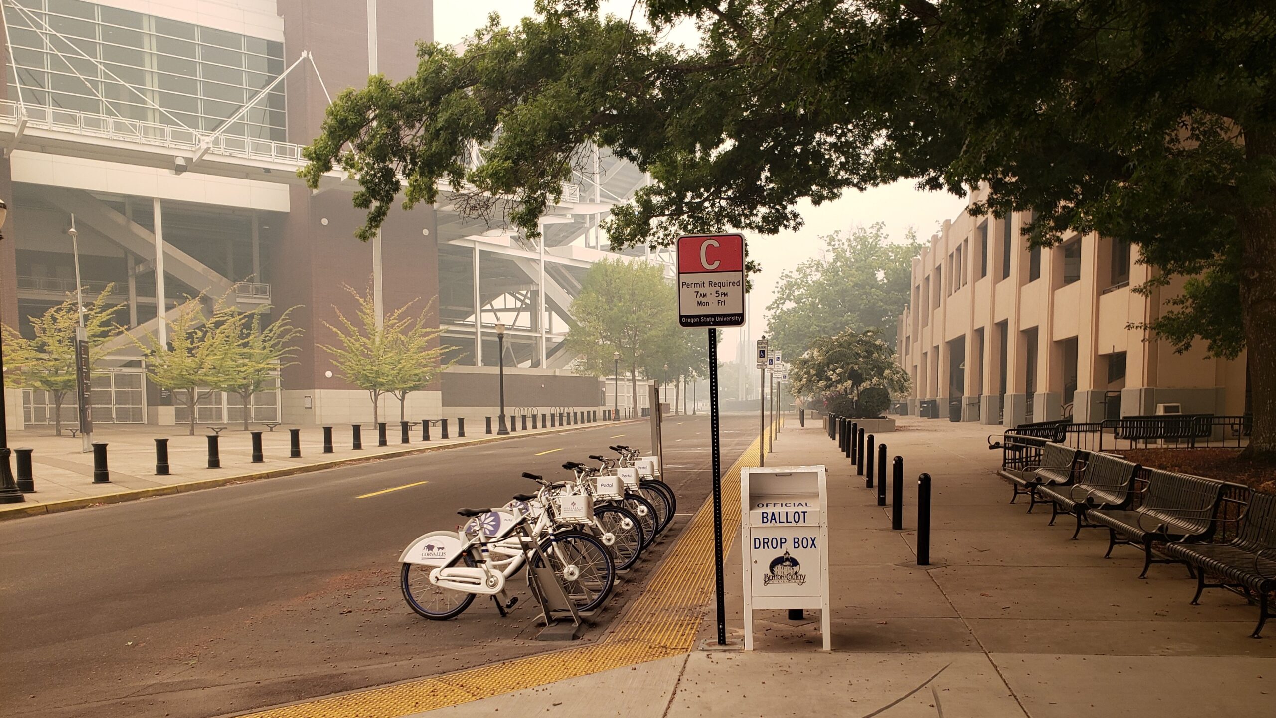 OSU Ballot Drop Box sitting on a corner block, with a tree overhanging above and a large building in the background