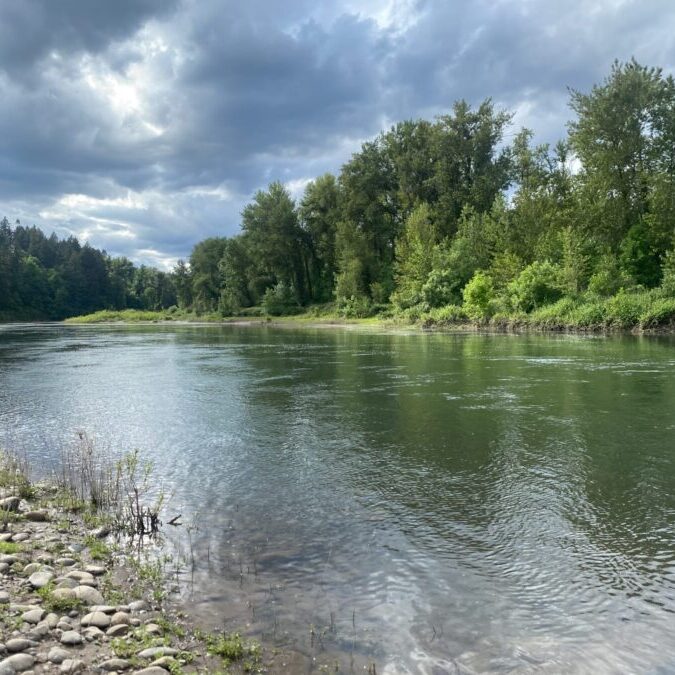 Willamette River with overcast sky