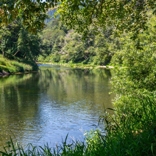 Beautiful landscape of Alsea River in Siuslaw Forest in Oregon