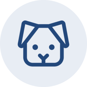 Link to Dog Licenses
